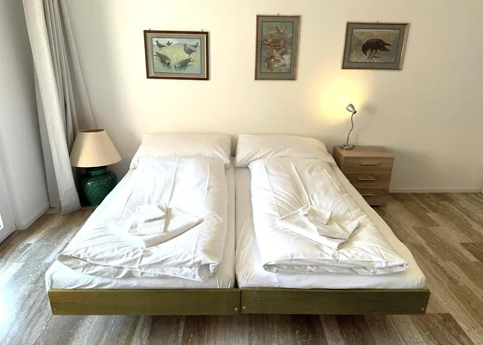 Appartement Mayenzett 33 *