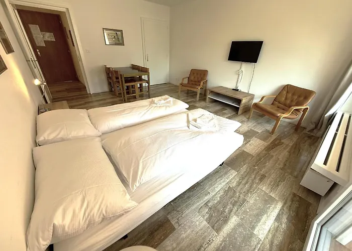 Mayenzett 33 Лойкербад