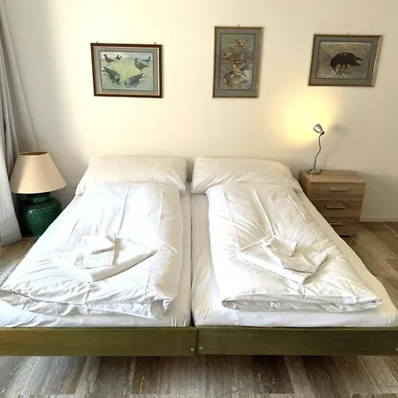 Apartman Mayenzett 33 *